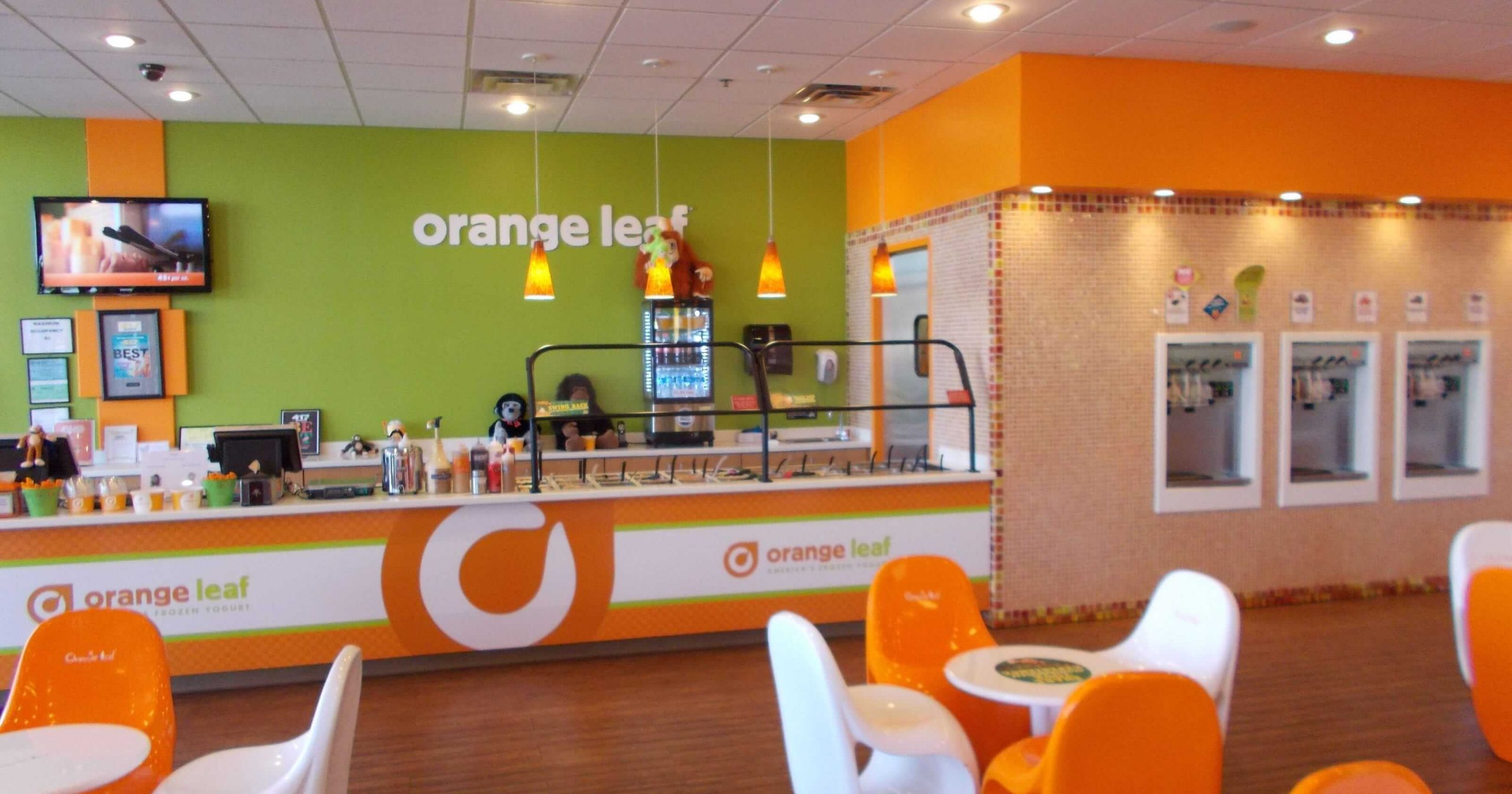 Orange Leaf Frozen Yogurt Franchise