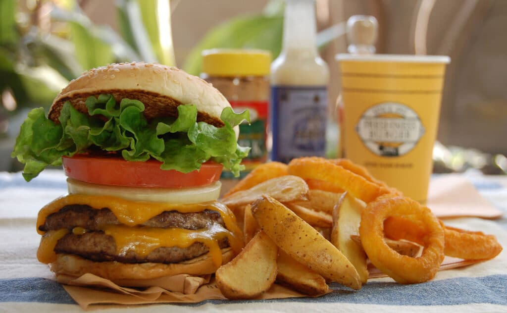 Freshness Burger Food
