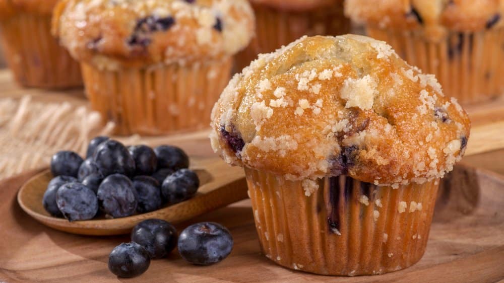 Blueberry Muffin
