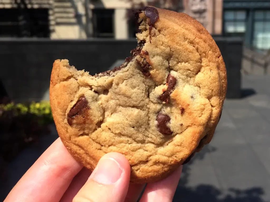 Chocolate Chip Cookie