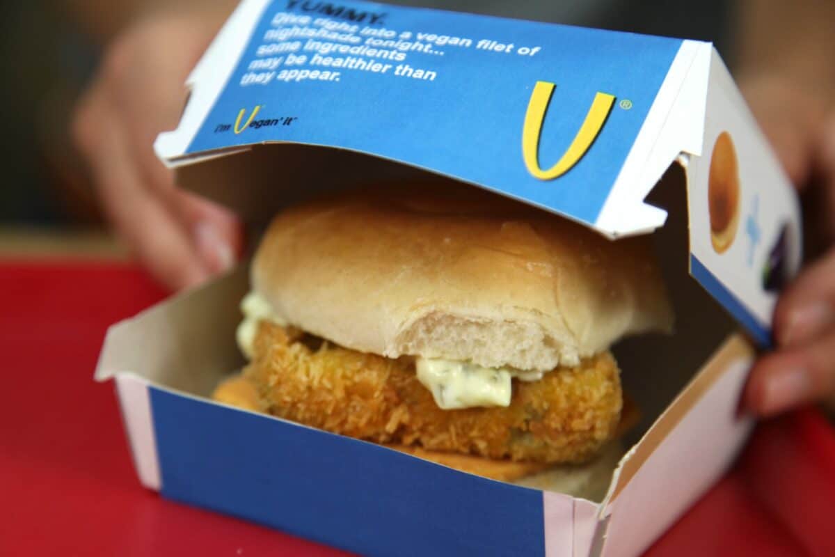 What kind of fish does McDonald's use in Filet-O-Fish