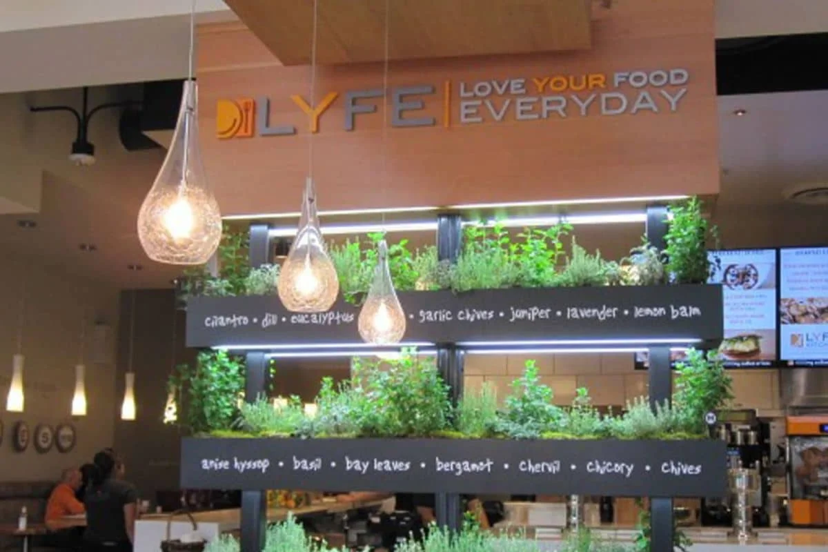 LYFE Kitchen Restaurant