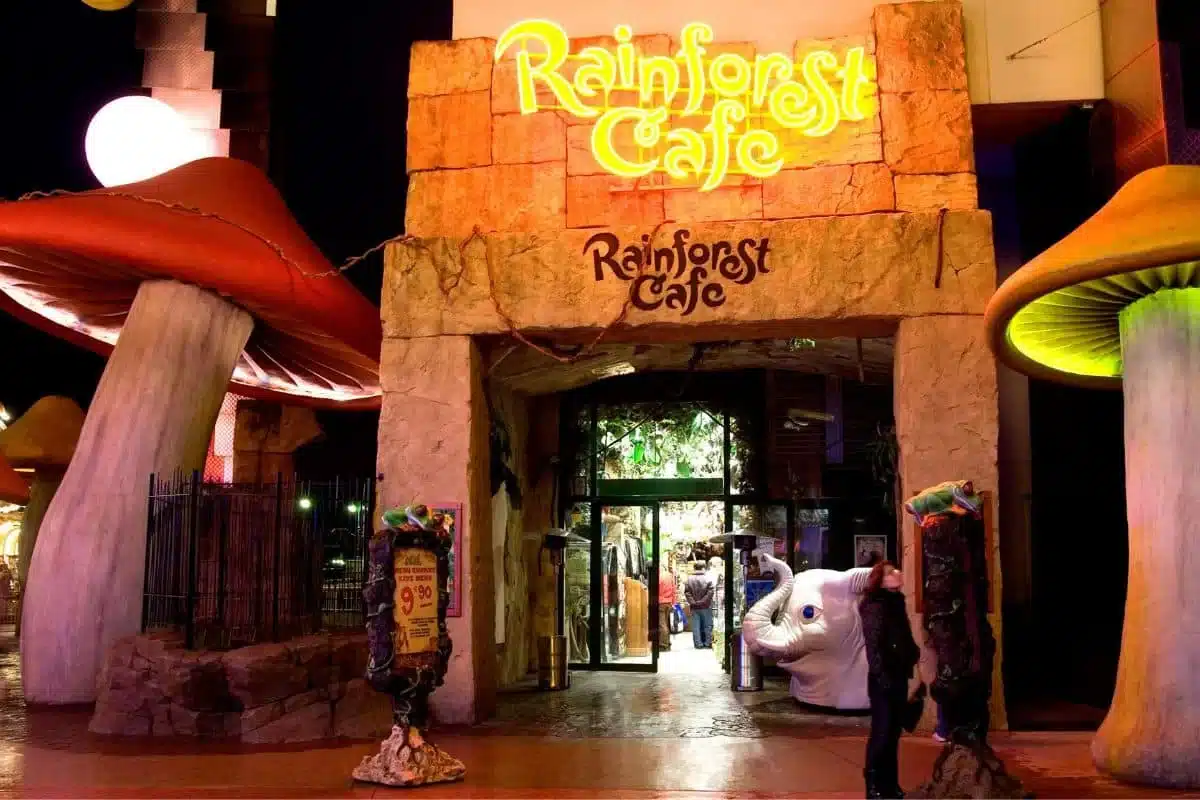 Rainforest Cafe Restaurant